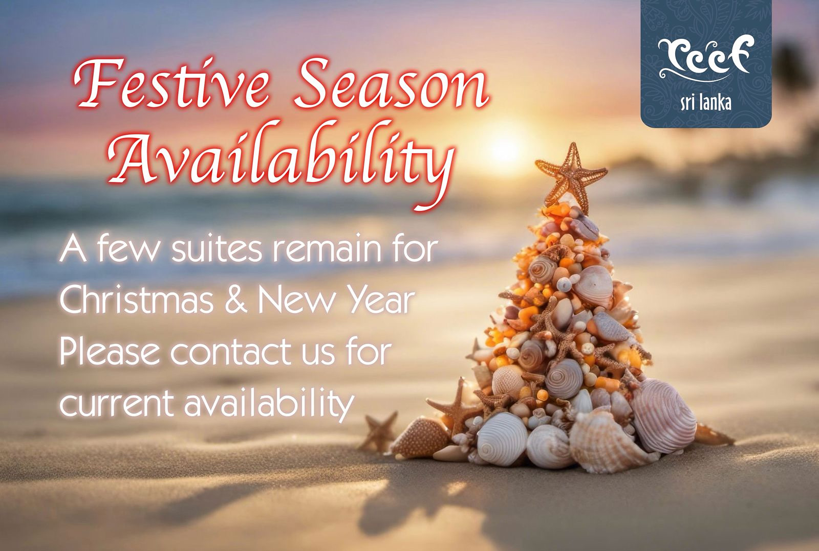 Enjoy a Festive Season at Reef,  Sri Lanka on the Western coast.