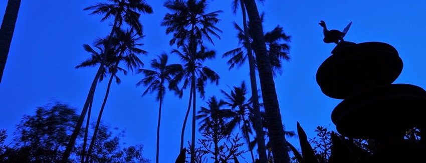 Earth Hour 28 March 2015 @ Reef Villa & Spa Sri Lanka